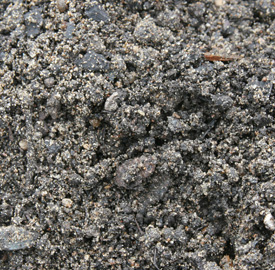 Raingarden Soil™ Intallation