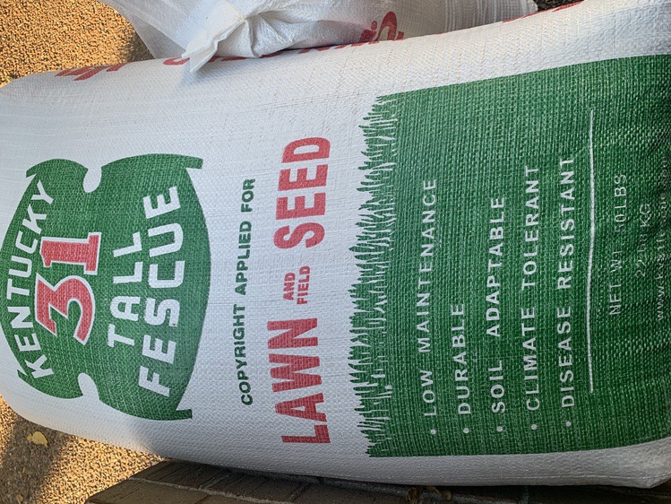 Fescue Lawn Seed